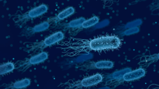 人食いバクテリアの正体と感染経路。足の傷から命にかかわる病気になる可能性も