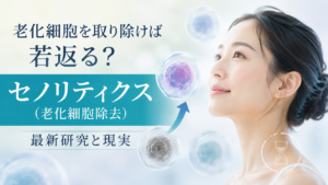 老化細胞と若返りをイメージした女性と細胞のイラスト。「セノリティクス（老化細胞除去）」と最新研究と現実の文字が入った画像。