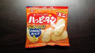 ハッピーターンを科学する — 「美味しいけど添加物で体に悪くない？」を分かりやすく検証します
