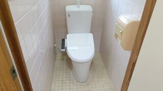 大便後の出血は痔？内臓？色でわかる見分け方と受診の目安を医療的に解説